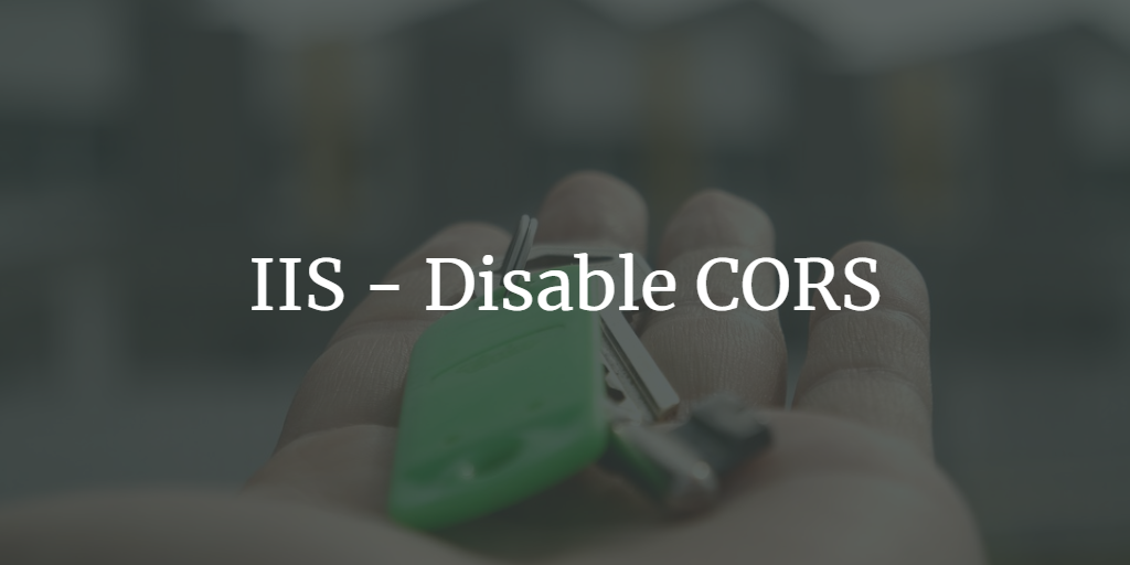 iis disable case sensitive url